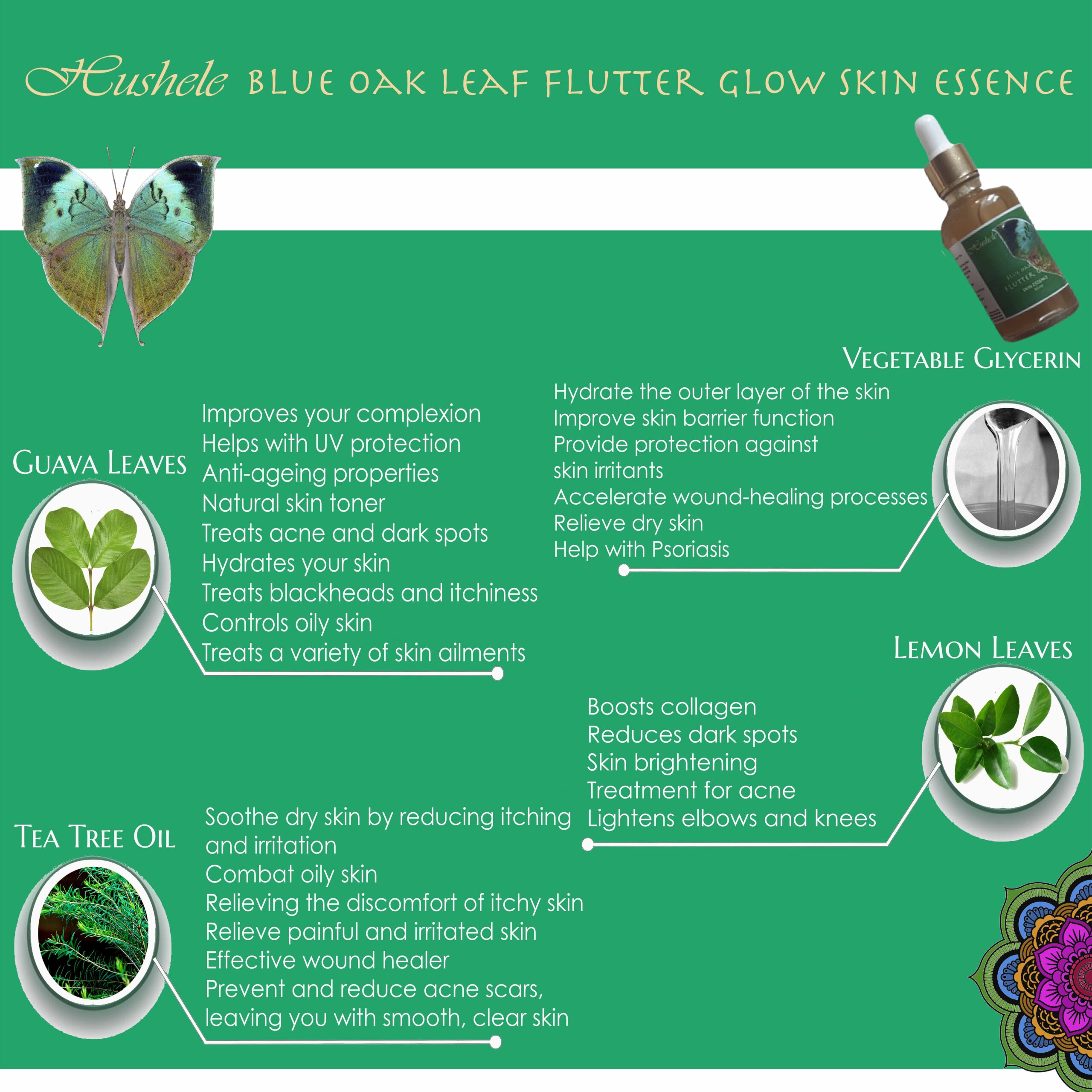 Blue Oak Leaf Flutter Glow- Skin Essence KEY INGREDIENTS2