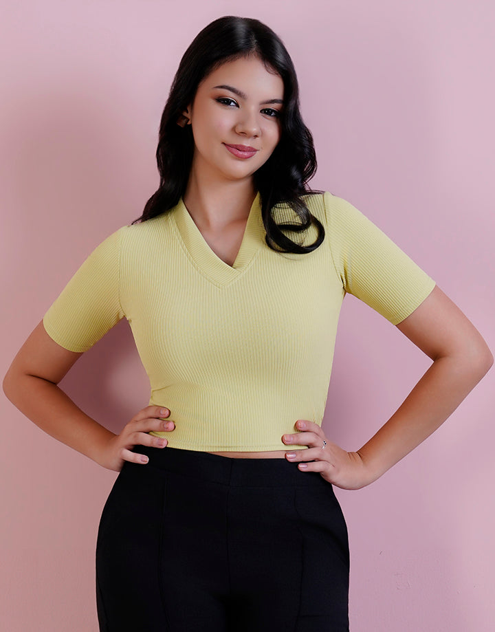 Short Sleeve V-Neck Crop Top