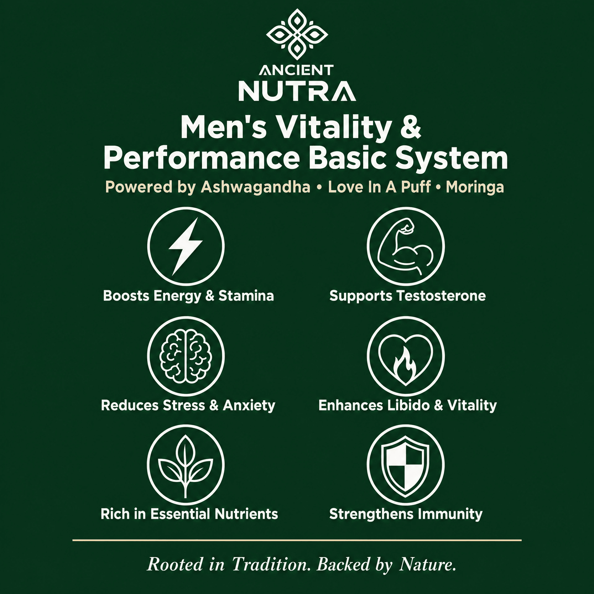 Men’s fertility and performance basic system