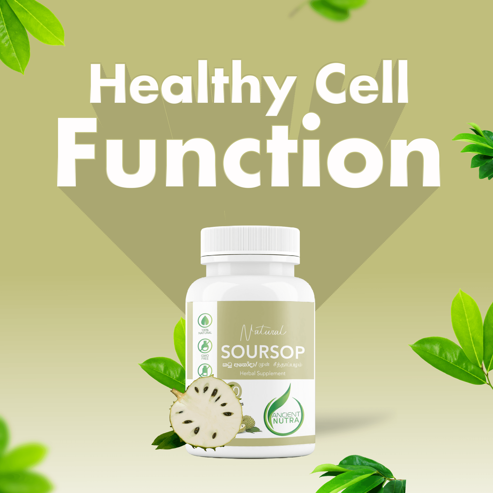 Soursop (Anoda Leaves) – 60 capsules