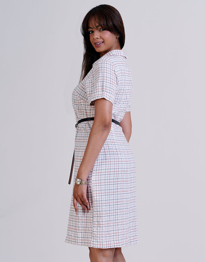 Short Sleeve Button Up Checked Dress